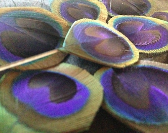 TEN beautiful trimmed Peacock eye feathers, DIY Crafting supplies feathers, cruelty free collection