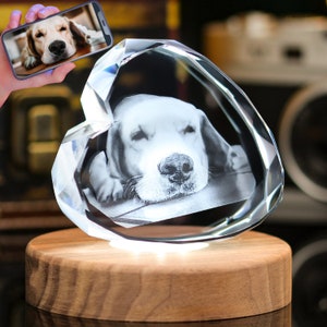 May include: A crystal heart-shaped paperweight with a photo of a dog inside. The paperweight is illuminated from below and sits on a wooden base.