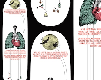 Dexterity Press Skateboard Series, Deck 3