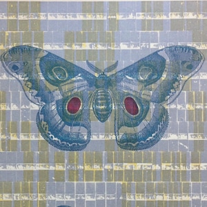 Pu&ograve; includere: Una stampa in stile vintage con due falene blu e verdi con accenti rossi su uno sfondo di quadrati gialli e blu. Il testo "Questi colori eterni aleggiano intorno a noi" &egrave; stampato sotto le falene.