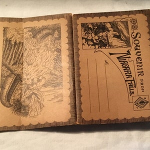Dossier de carte postale souvenir antique des chutes du Niagara