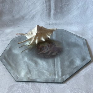 Decorated Mirror Display Piece, Accent Piece, Furniture Protection