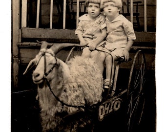 Antique Early Photo of 2 Boys in an Ohio Goat Cart