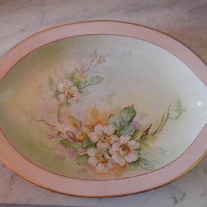 Royal Austria O & E G Wild Rose Pattern Artist Signed Platter