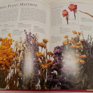 May include: Dried plant material for crafting and decorating.  The image shows a variety of dried flowers, including lavender, poppy pods, statice, and yarrow.  The text on the page reads "Dried Plant Material".