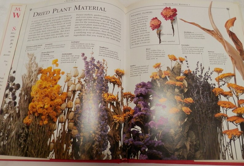 May include: Dried plant material for crafting and decorating.  The image shows a variety of dried flowers, including lavender, poppy pods, statice, and yarrow.  The text on the page reads "Dried Plant Material".