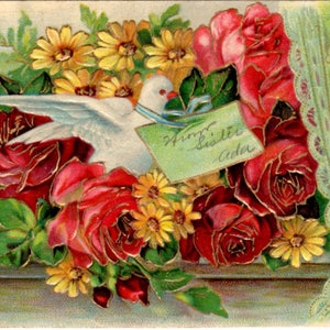 Antica cartolina postale edoardiana floreale con colomba 1916