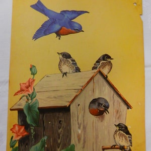 1930&#39;s Rare James Bates Abbott Bird Print  showing Blue Birds