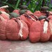 Easy Peasy Pumpkin pattern PDF instant download