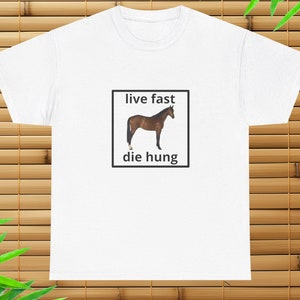 Live Fast Die Hung T-Shirt, Funny Horse Shirt, Gift Shirt, Meme Shirt