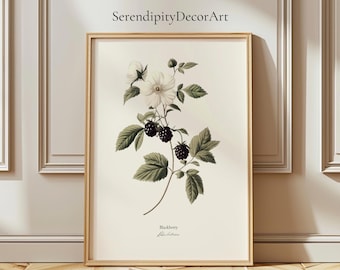 Vintage Blackberry Botanical Matte Poster | Antique Fruit Illustration | Nature Wall Art | Cottagecore Decor | Fruit and Flower Art