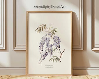 Japanese Wisteria Botanical Matte Poster | Vintage Art | Floral Wall Print | Flower Illustration | Nature Poster Decor |