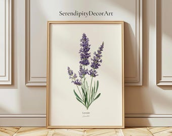 Lavender Botanical Print: Vintage Herb Illustration, French Country Decor