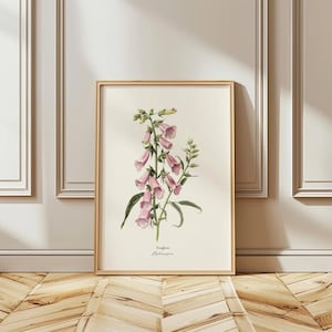 Poster opaco con stampa botanica di digitale / Arte floreale / Ispirato al vintage / Decorazione poster natura /