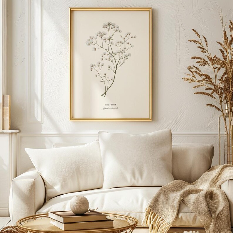 May include: A framed botanical illustration of Baby's Breath flowers, Gypsophila paniculata, with a white background and gold frame.