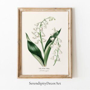Digital Lily of Valley Botanical Print | Floral Art | Vintage Inspired | Nature Poster Decor | Wall Art | Downloadable | Printable