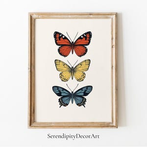 Poster opaco con illustrazione di farfalla vintage / Arte minimalista colorata / Farfalle rosse, gialle e blu / Decorazione murale naturale / Cartolina vintage