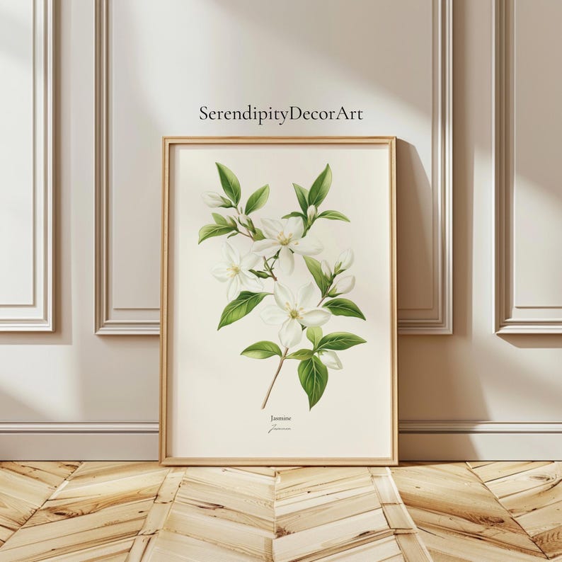 Vintage Jasmine Flower Botanical Print | Herbal Tea Wall Art - Etsy