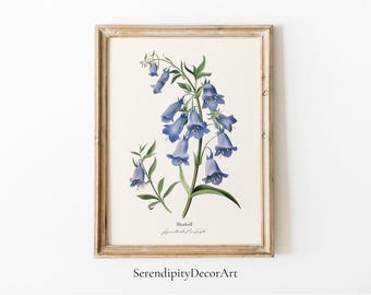 Digital Bluebell Botanical Print | Natural Colors Decor | Floral Illustration | Vintage Inspired | Nature Decor | Downloadable | Printable
