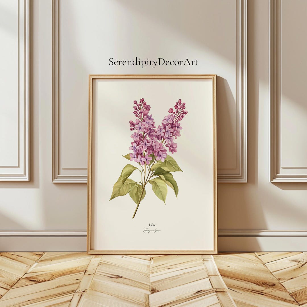 Purple Lilac Botanical Print | Vintage Floral Illustration Matte Poster ...