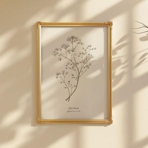 May include: A framed botanical print of Baby's Breath flowers, Gypsophila paniculata, with a gold frame.