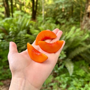 May include: Three crescent-shaped slices of bright orange fruit with a smooth, translucent texture. The slices are curved and have a vibrant, saturated color, appearing firm and glossy. The fruit pieces are arranged in a cluster, showcasing their distinct, rounded edges and uniform, deep orange hue throughout the flesh.
