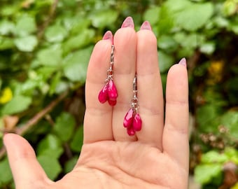 May include: A pair of dangle earrings featuring clusters of bright pink, teardrop-shaped beads. The earrings are suspended from silver-colored metal hooks. The background is a blurred view of green foliage.