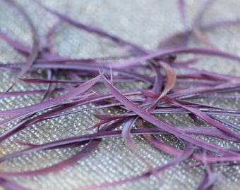 24+ pieces Plum Purple Goose Biot Feathers: Spikey Craft Feathers