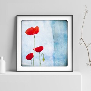 Red Poppy Flowers Art Print: Aqua Blue Watercolor Botanical Trio