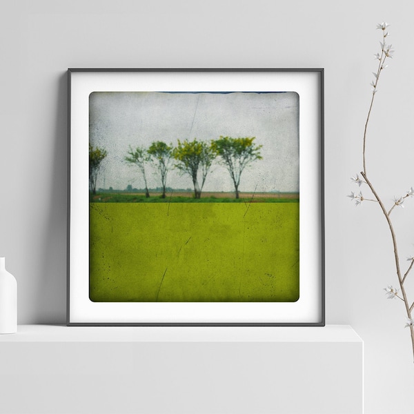 Landscape photography Trees bording a country road with a green painted color block Fine art print  POLE ACIDE