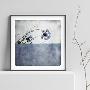 Thistle Botanical photography  Fine Art Print  Lavender Blue Floral Wall Art Decoration POLE BLEUET