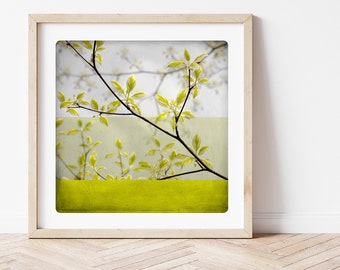 Botanical art print Yellow spring branches photography  Living room wall art BEN BRANCHE