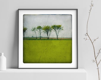 Landschapsfotografie Bomen langs een landweg met een groen geschilderd kleurblok Fine art print POLE ACIDE