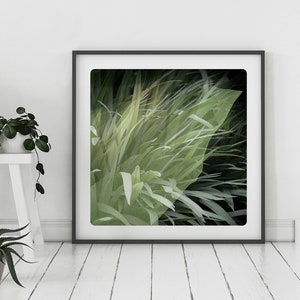 Botanical Photography Textures in nature texture with painted details Fine Art Print Vegetal HER image 1