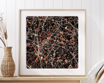 Botanical Photography Textures in nature with painted details Fine Art Print Vegetal ORG