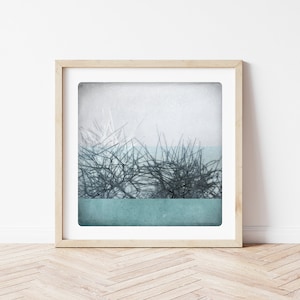 Frozen landscape Flake Abstract photography Winter fine art print  trees Pale turquoise frost wall art BEN HIVER