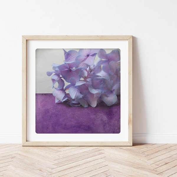 Macro photographie hortensia violet mauve Art minimaliste Decoration florale  POLE HORTENSIA