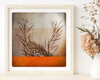 Fall Botanical photography  Still Life Orange Fire Art Print Autumn Monochromatic Wall Art  BEN AUTOMNE