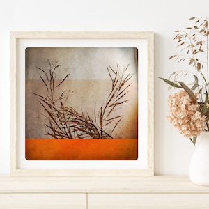 秋の植物写真 静物画 オレンジ色の炎 アートプリント 秋のモノクロームウォールアート BEN AUTOMNE