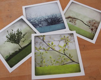 photography postcards set of 4 Botanical Greeting Cards