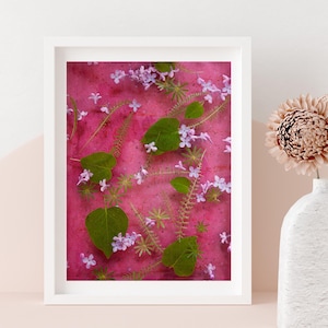Stampa artistica botanica primaverile con fiori e foglie lilla su sfondo acquerello rosa fragola - Lilas Rose