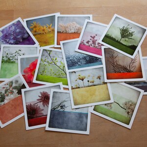 Lot de 16 cartes postales photographiques