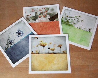 photography postcards set of 4 Botanical Greeting Cards