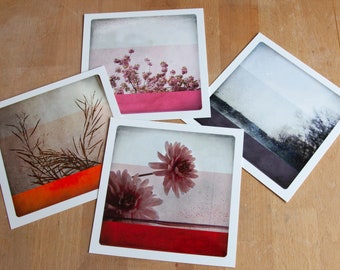 photography postcards set of 4 Botanical Greeting Cards