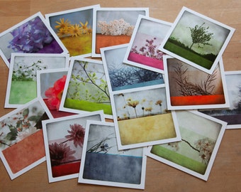 photography postcards set of 16 Botanical Greeting Cards