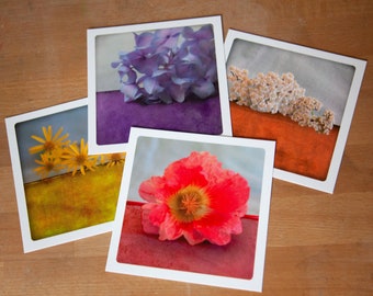 photography postcards set of 4 Botanical Greeting Cards