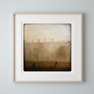 Sienna winter landscape photography   Monochromatic wall art brown meadows with trees in the fog Modern Home Decor HIVER