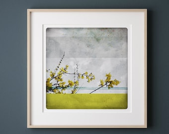 Spring Botanical art print  Yellow flowers photography Bright wall art decoration BEN PRINTEMPS