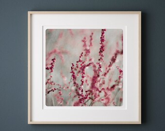 Botanical photography Sage and Pink Vegetal Fine Art Print  Childrens Room Decor HERBE ROSE