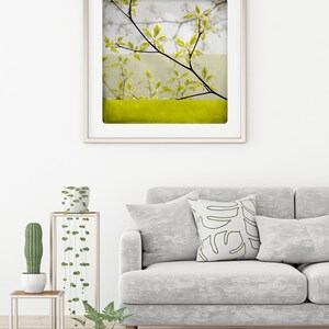 Botanical art print Yellow spring branches photography Living room wall art BEN BRANCHE image 3